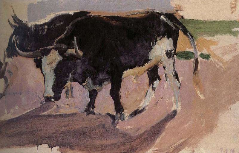 Joaquin Sorolla Bull Project Norge oil painting art
